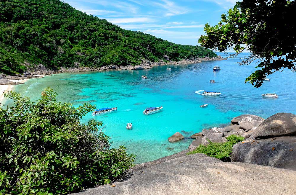 Green beach with sand and blue sea